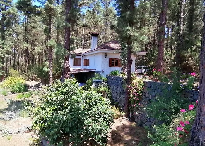 Floral Garden House