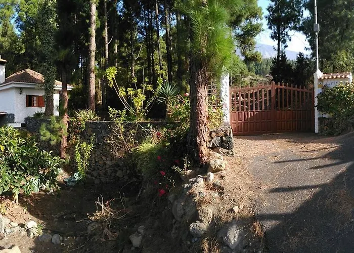 Floral Garden House