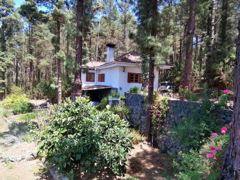 Floral Garden House Holiday home