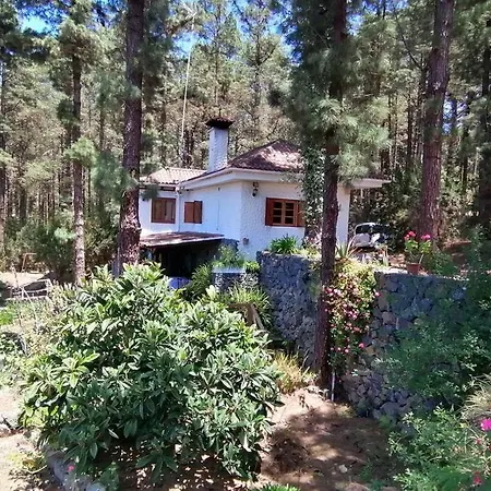 Floral Garden House Villa Icod De Los Vinos Exterior photo