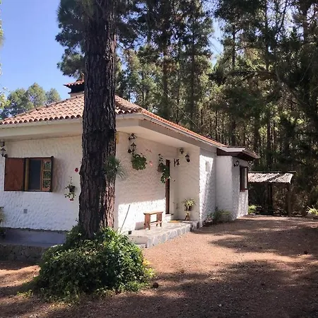 Floral Garden House Villa Icod De Los Vinos Exterior photo