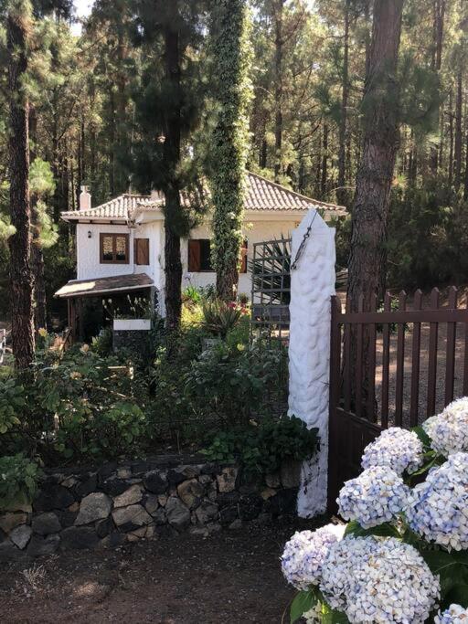 Vakantiehuis Floral Garden House Icod De Los Vinos