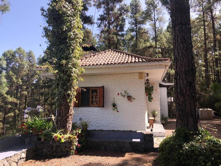 Vakantiehuis Floral Garden House